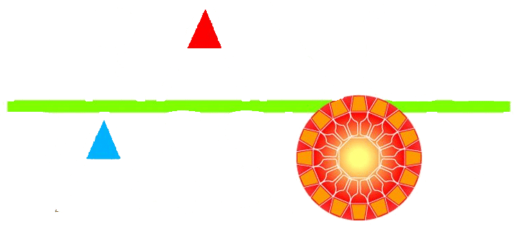 france-passion-white-logo